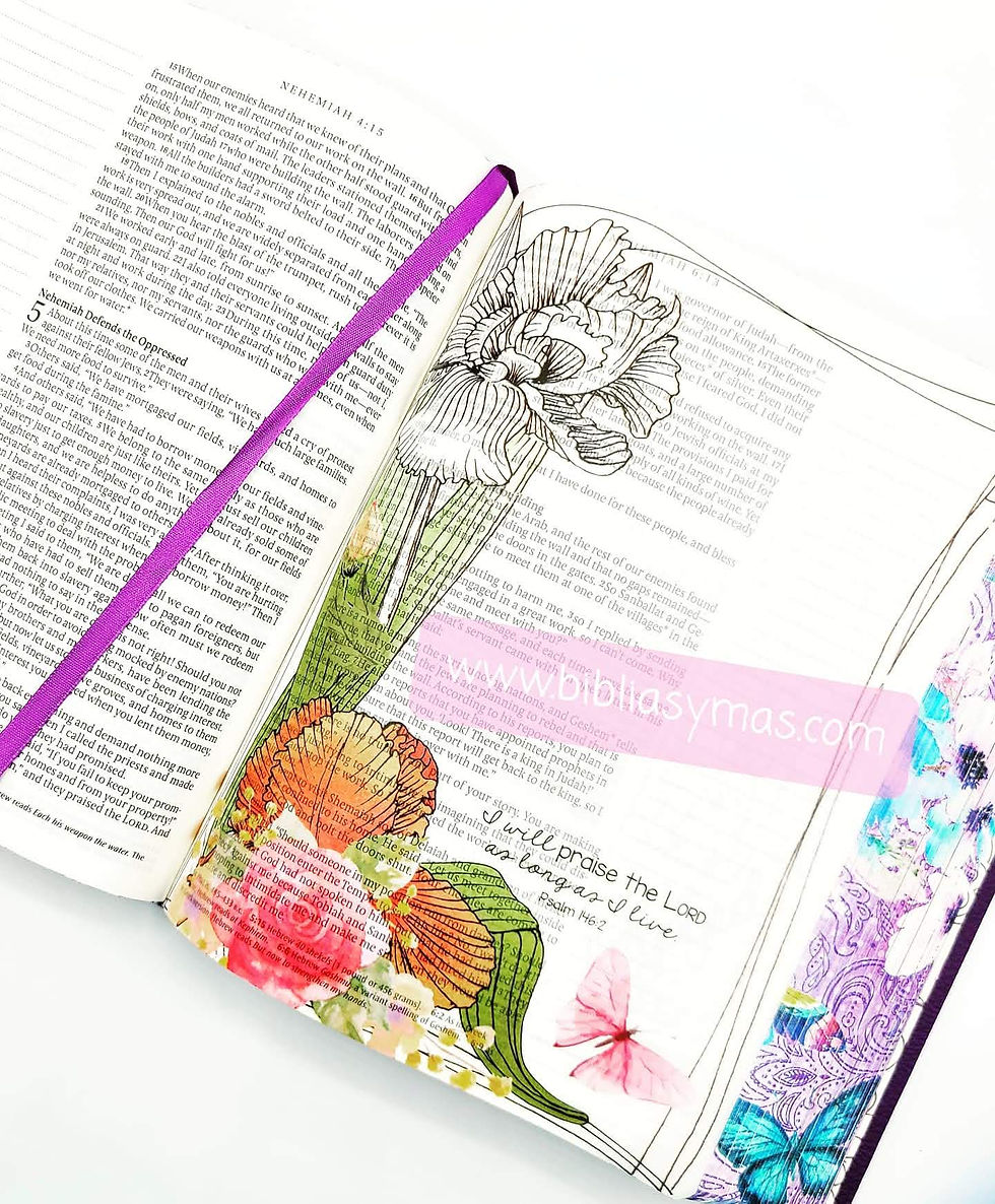 Miniatura: NLT Inspire Bible Coloring Creative Journaling - Purple Hard Cover