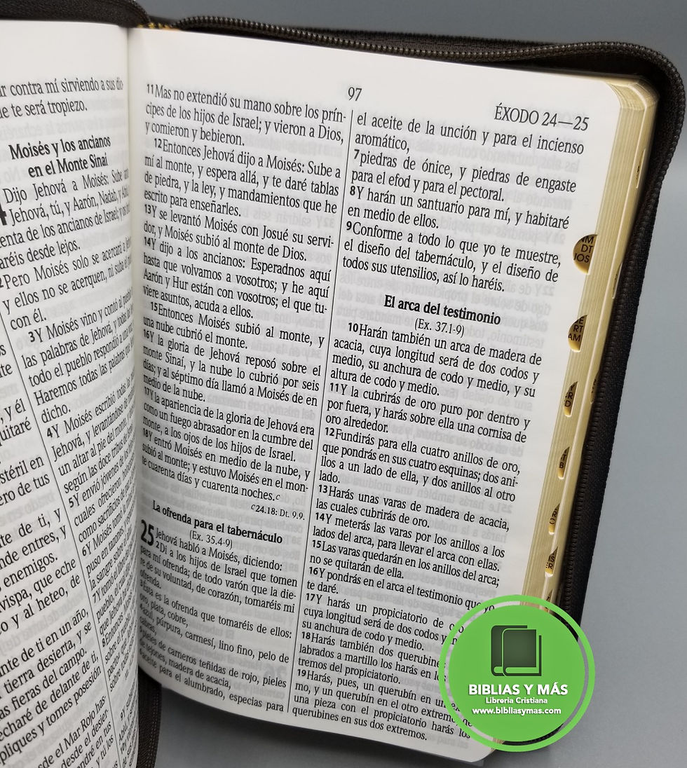 Miniatura: BIBLIA REINA VALERA 1960 LETRA GRAND ZIPER E INDEX LEON REY
