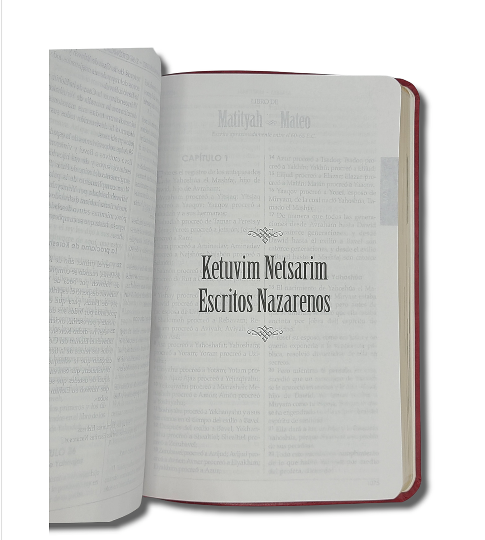 Thumbnail: Biblia Version Israelita Nazarena Rojo