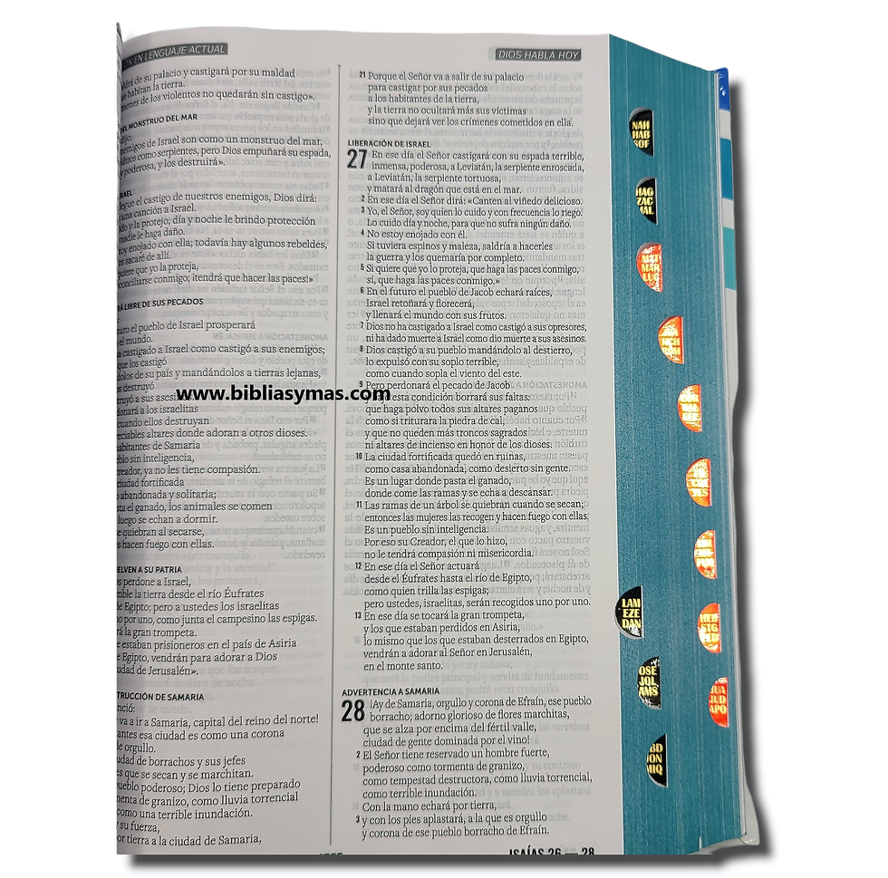 Miniatura: Biblia Multiversiones Tapa dura Index