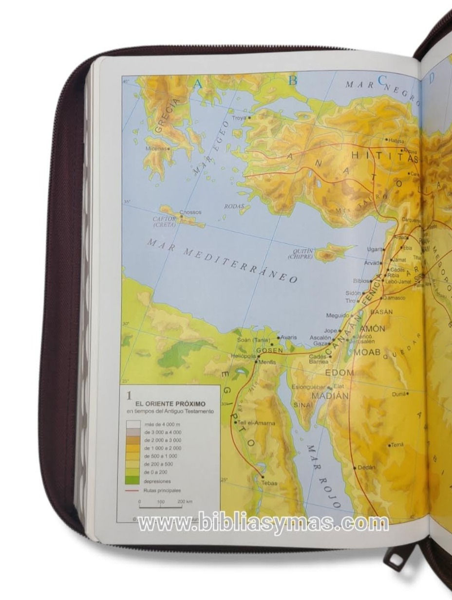 Thumbnail: Biblia RVR1960 Letra Gigante León Imitación Negro Café Cierre Índices