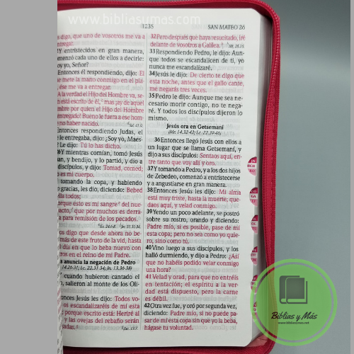 Thumbnail: Biblia Letra Grande Reina Valera 1960 Zipper e Index Rosa