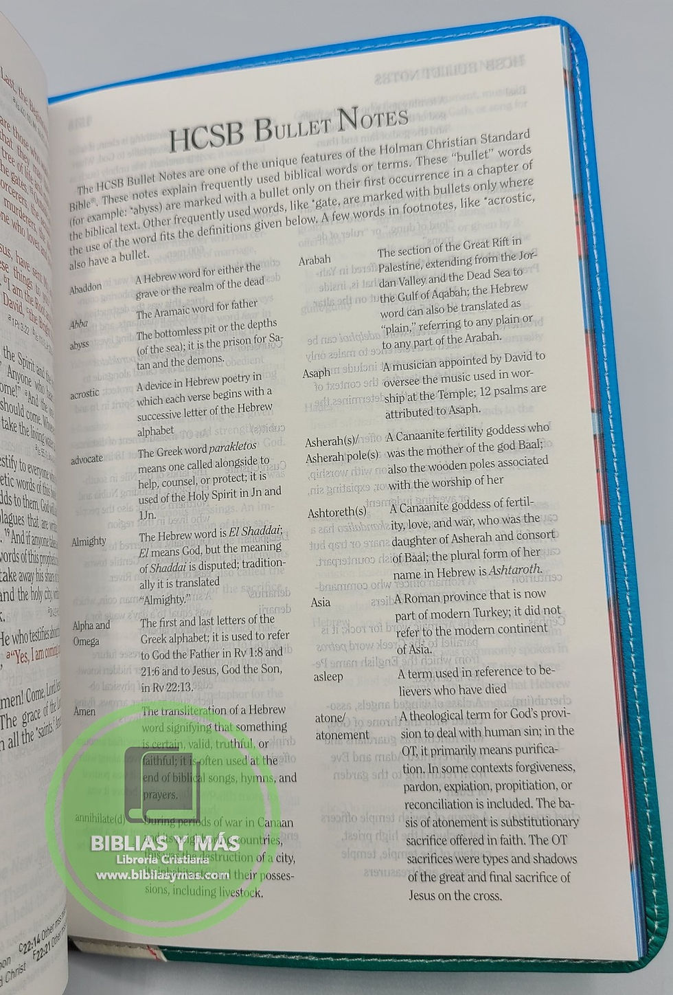 Miniatura: HCSB Study Bible for Kids, Octopus LeatherTouch