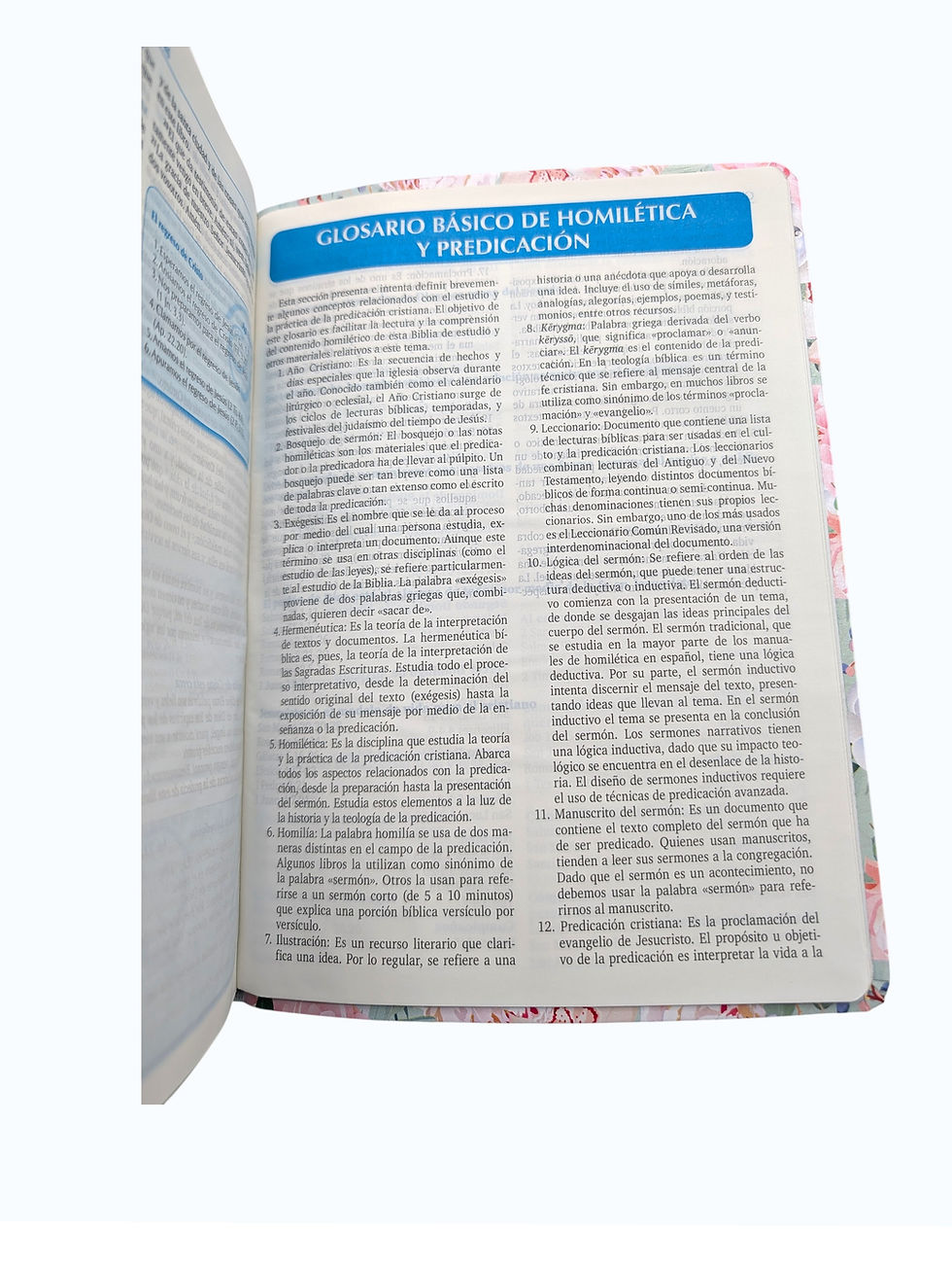 Thumbnail: Biblia  para la predicacion Letra grande celeste floral indices