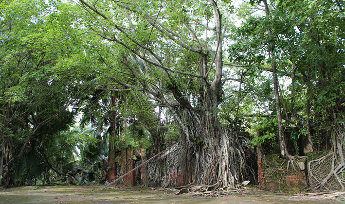 ROSS ISLAND - Commissioner Bungalow.jpg