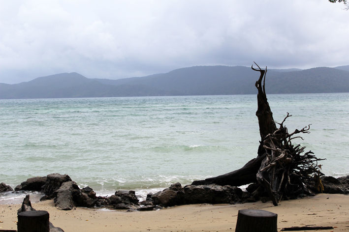 CHIDYA TAPU - BEACH.jpg