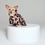 Thumbnail: Rainkiss Dog Poncho