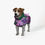 Thumbnail: Rainkiss Dog Poncho