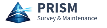 Prism Survey Logo