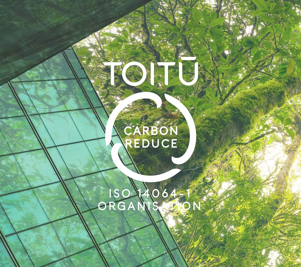 Toitu-(1).jpg