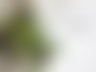 6/29伊勢丹さんにてフレッシュスワッグライブします！