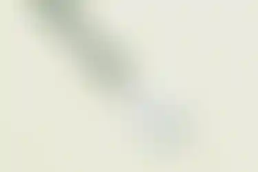 зече бейдж