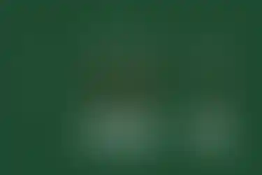 зече зміни лого