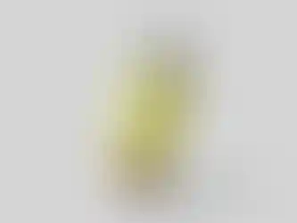 лічі_лайм.webp