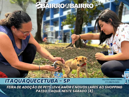 Feira de Adoção de Pets leva amor e novos lares ao Shopping Pateo Itaquá neste sábado (8)