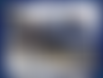 Canil da GCM recupera van roubada durante sequestro e prende suspeito