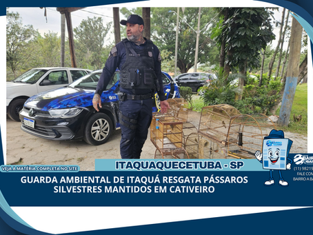 Guarda Ambiental de Itaquá resgata pássaros silvestres mantidos em cativeiro