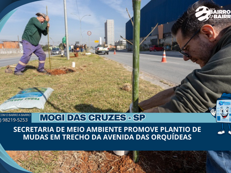 Secretaria de Meio Ambiente promove plantio de mudas em trecho da Avenida das Orquídeas