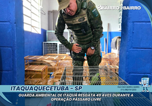 Guarda Ambiental de Itaquá resgata 49 aves durante a Operação Pássaro Livre