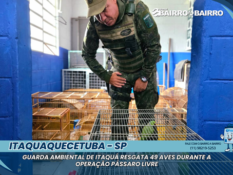 Guarda Ambiental de Itaquá resgata 49 aves durante a Operação Pássaro Livre