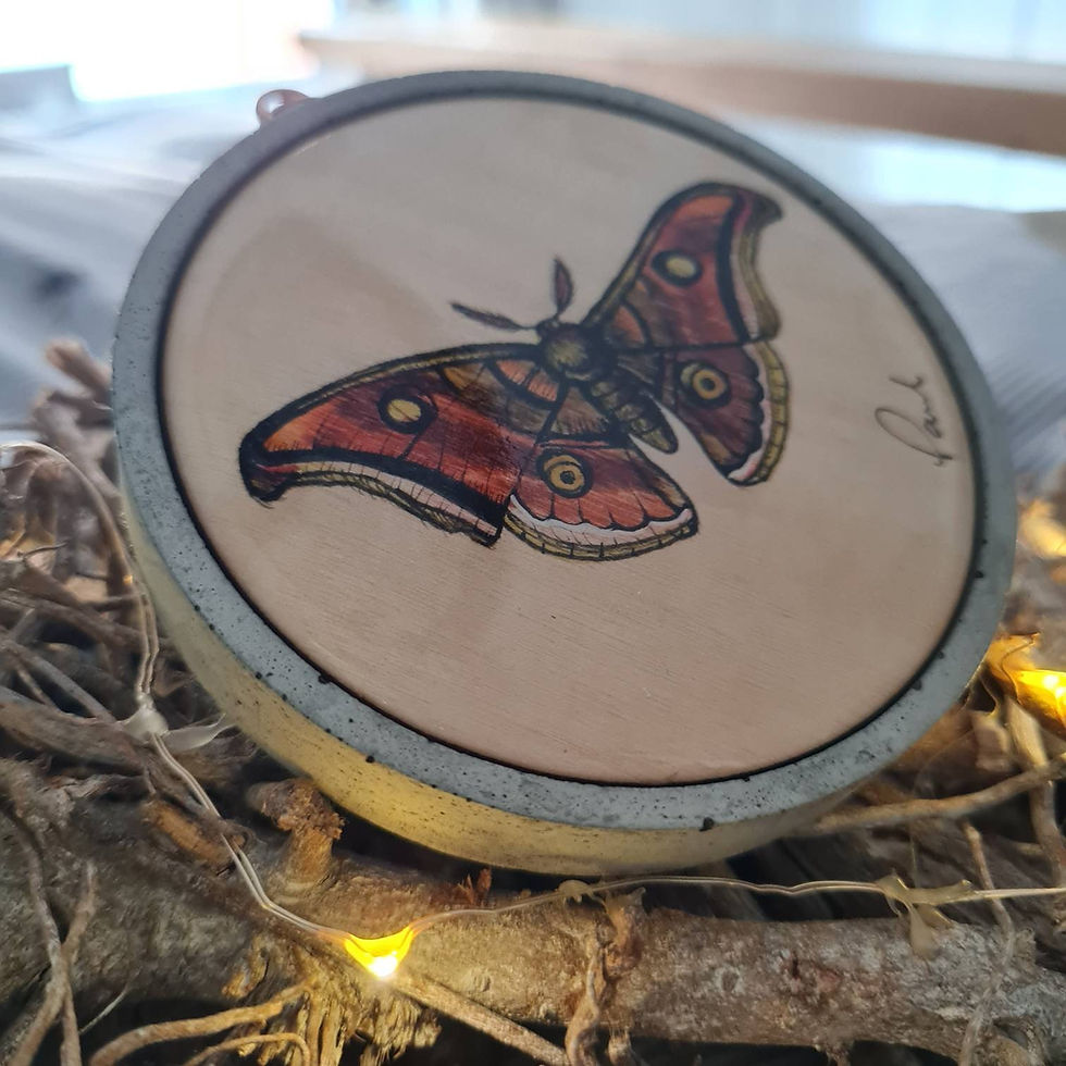 Thumbnail: The moth art has been protected with a layer of quality epoxy resin.