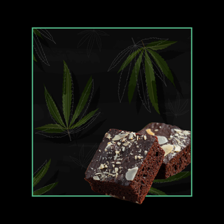 CannabisGallery-02.png