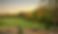 garden.jpg