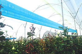 Optiroll Super B.jpg