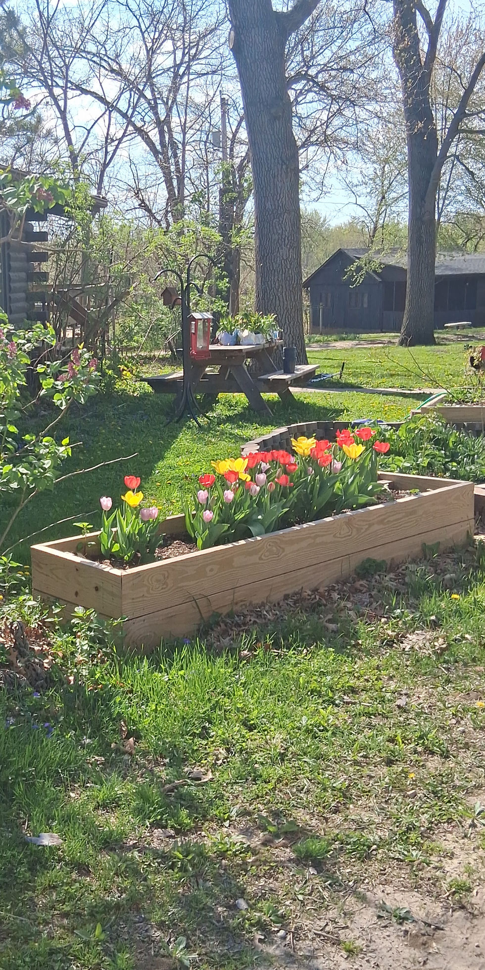 Raised Bed Example
