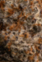 Test Shoot-539-Edit-2.jpg
