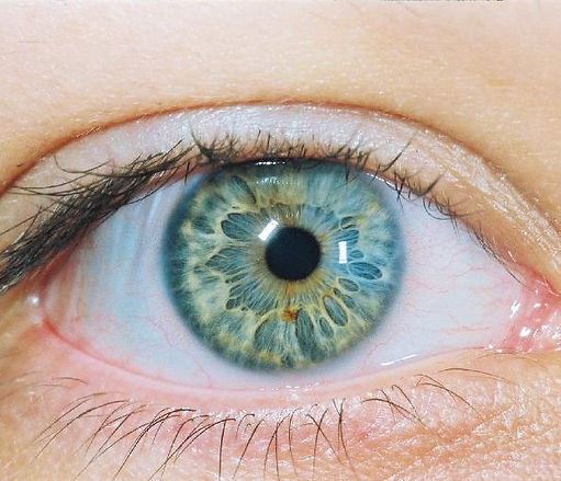beautiful-right-eye.jpg