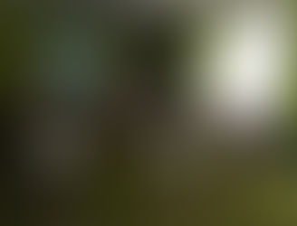 Спортивно-музична розвага "Стежками казок"