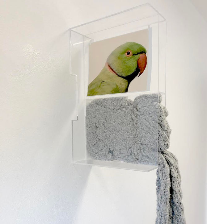FIELD NOT FRAME | Tannaz Farsi
Curated by Julia Greenway