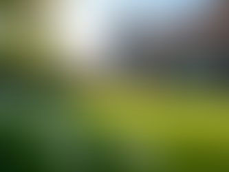 Navigating Creative Financing Strategies for Real Estate Gains in Uncertain Markets