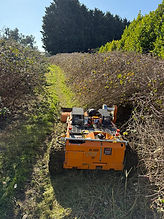 public footpath clearing using heavy duty machinery
