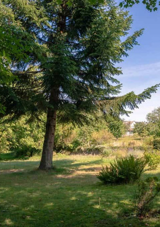 Südschwarzwald Tai Chi Retreat Trainingsfläche | HME Tai Chi Seminare