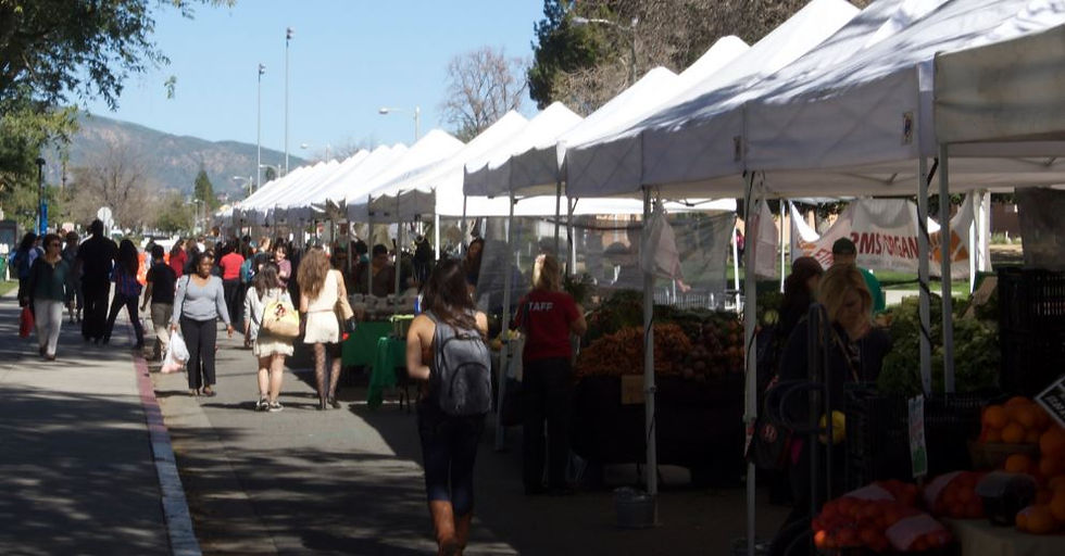 Farmer's Market Opening Day