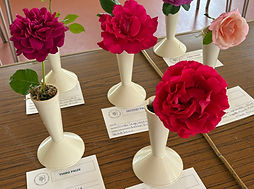 2025 RSP red roses_edited.jpg