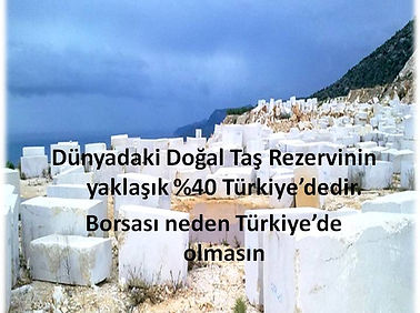 Doğal Taşlar e-Borsası kapak.jpg