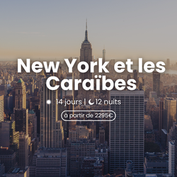 wakea-travel-miniatura-lunas-de-miel-nueva-york-caribe
