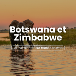 wakea-travel-miniatura-lunas-de-miel-botswana-zimbabwe