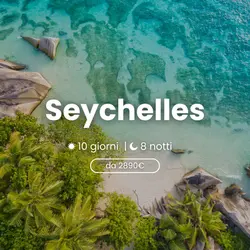 (Italià) wakea-travel-miniatu… (15)