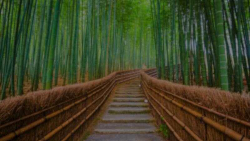 portada-viajes-de-autor-wakea-travel