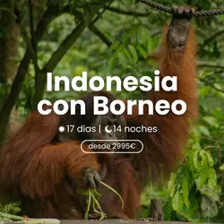 wakea-travel-miniatura-grandes-viajes-indonesia-borneo