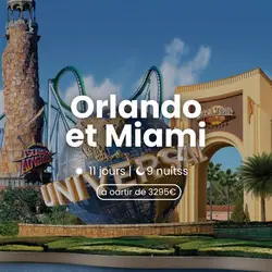 wakea-travel-miniatura-lunas-de-miel-orlando-miami