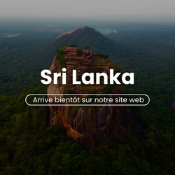wakea-travel-miniatura-lunas-de-miel-sri-lanka
