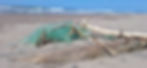 20240315_110132.jpg
