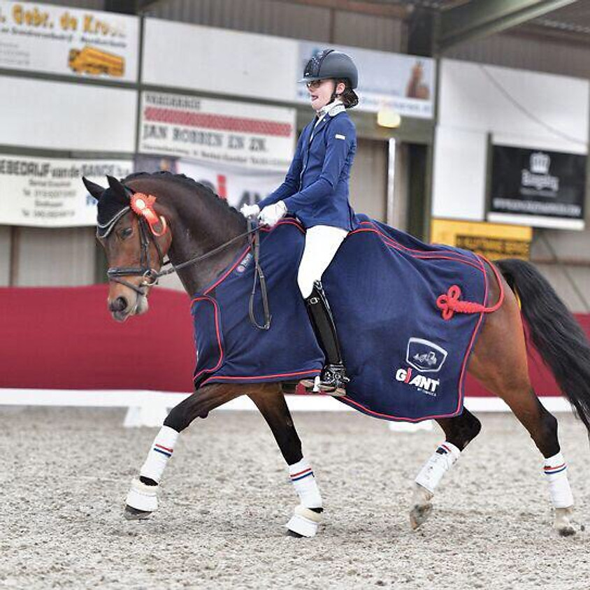 Open dressuurwedstrijd + Tobroco-Giant Dressage Team Challenge