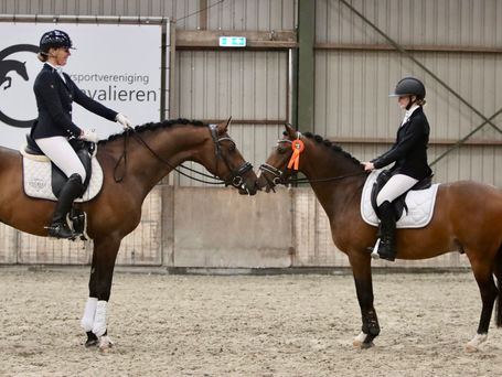Anouk van de Pas clubkampioen dressuur!