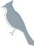 Button-vogel.png